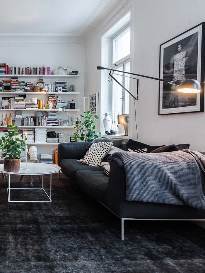 homLotta-Agatons-apartment-sofa-and-great-shelves